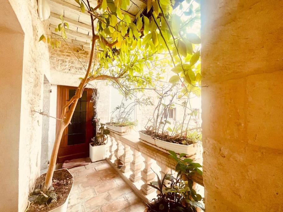 Evasion Urbaine**** Daire Nîmes Dış mekan fotoğraf